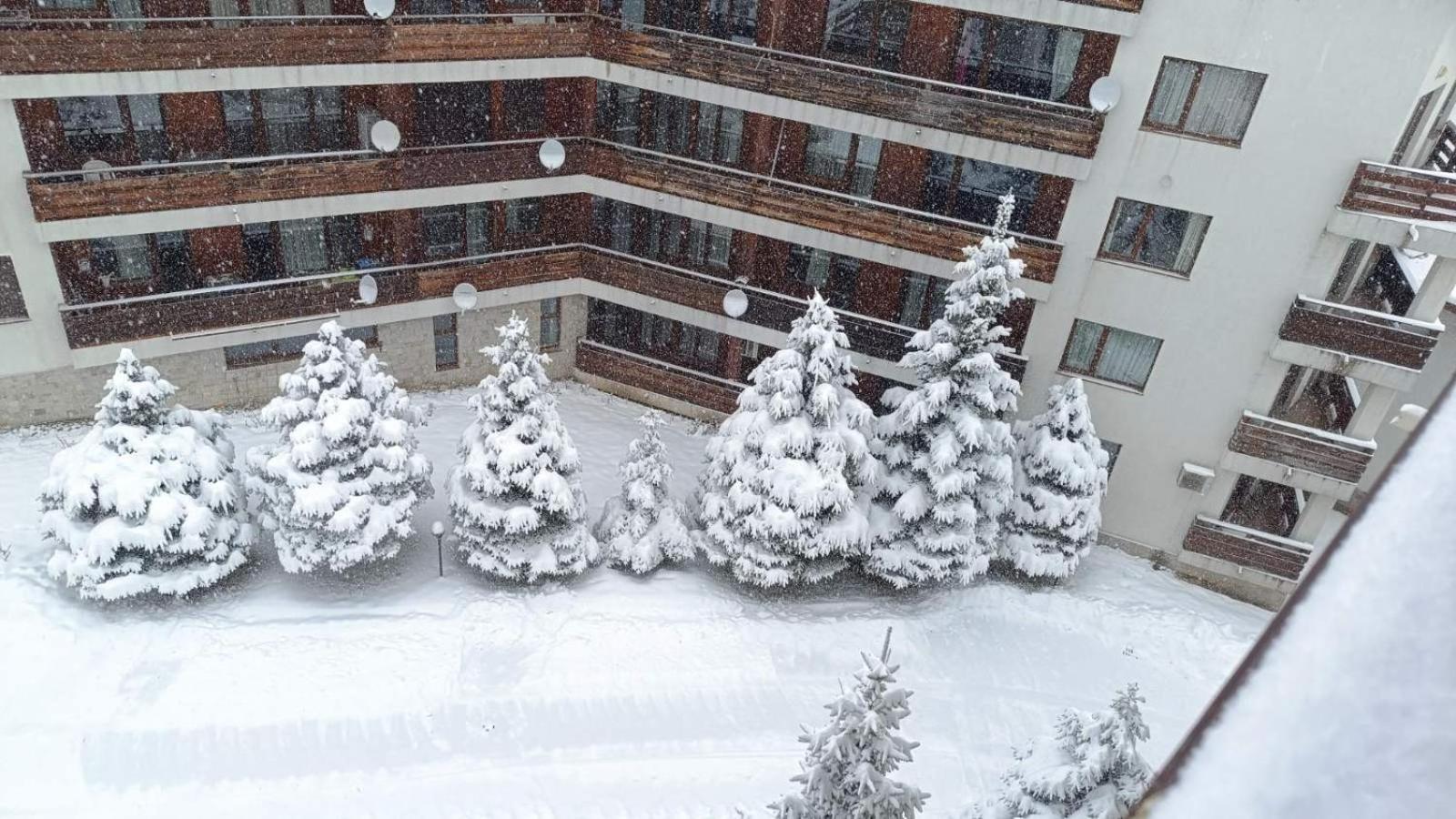 Studio Detelina Residence Банско Экстерьер фото