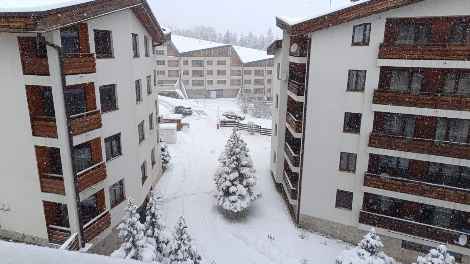 Studio Detelina Residence Банско Экстерьер фото